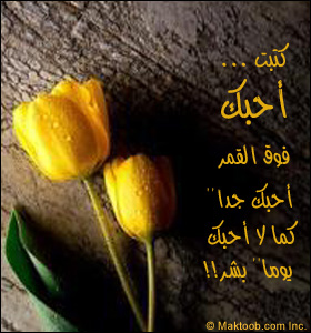 je t aime