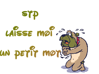 stp laisse un petit mot