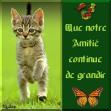 comme moi et mes amies