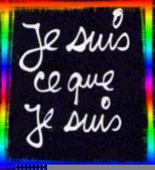 je ss ce que  j ss